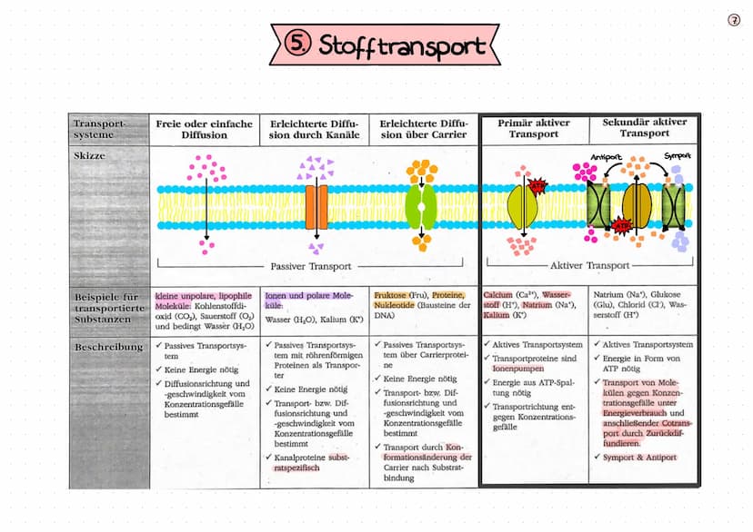 BIOLOGIE
KLAUSUR
BIOMEMBRAN
1. Bausteine der Biomembran - Biomoleküle (S. 2+3)
2. Membranmodelle (5.4)
3. Aufbau von Biomembranen (S.S)
4. F