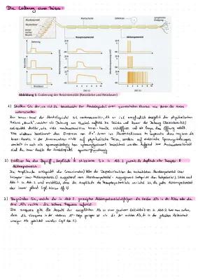 Know 1. Neurobiologie thumbnail