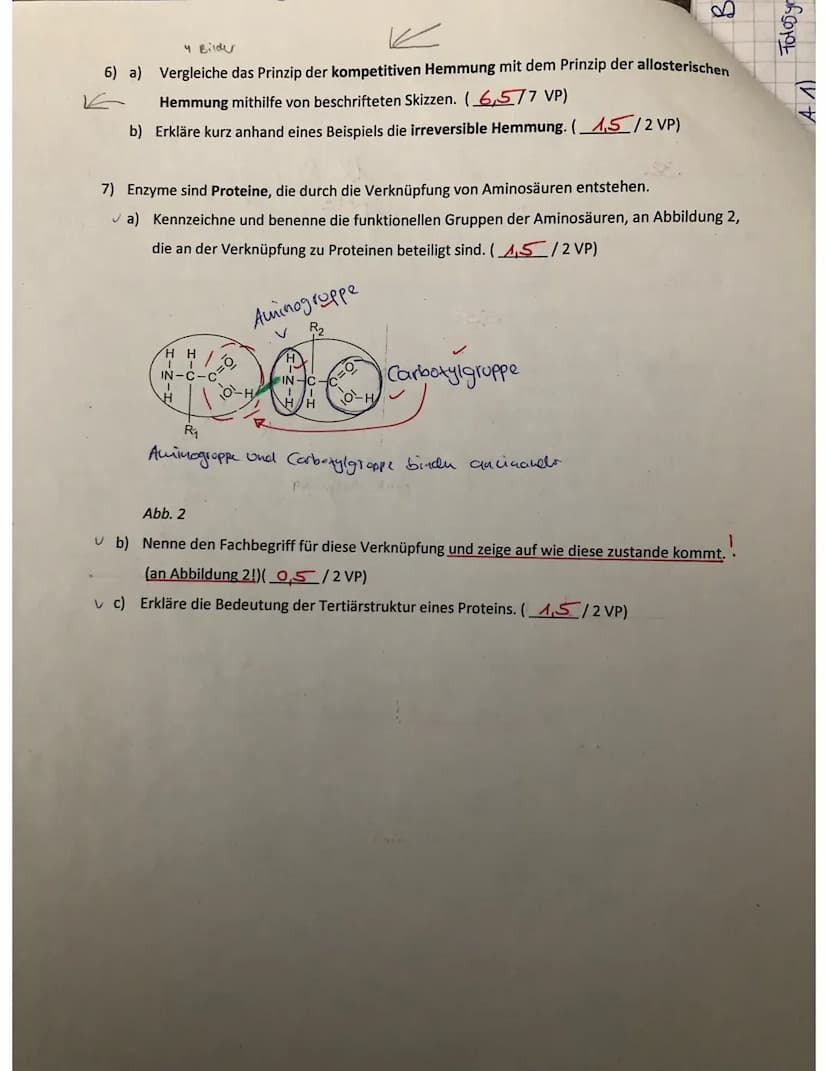 16) a)
A
Substrate
kompetitive Hercumong:
Substat
Hemmstoff
च
aktives
zentrum
allostorische Hemmung:
Enzym
aktives
zuluy
→
^ allosterisches 