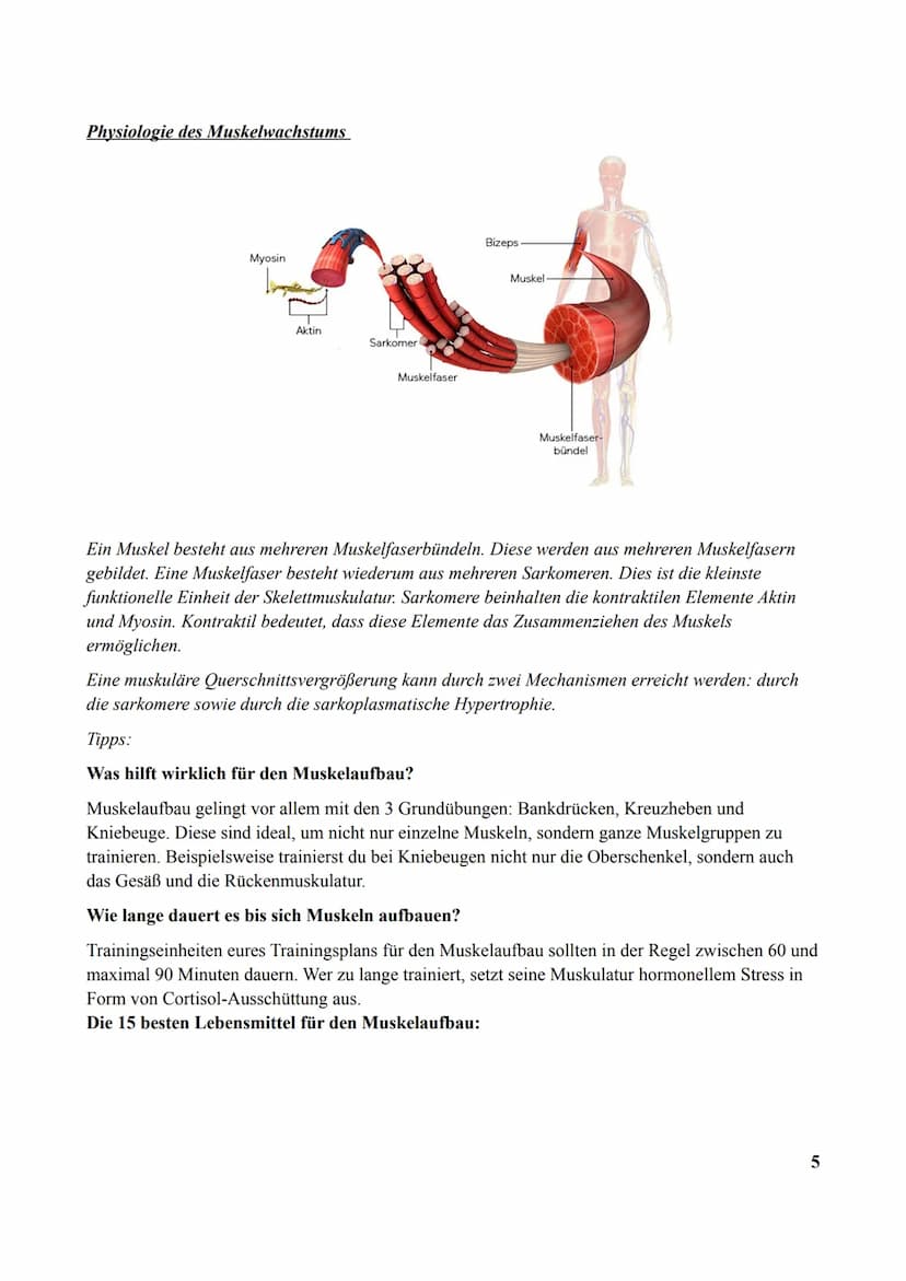 Vorgelegt von:
Kurs:
Fachlehrer:
Abgabetermin:
B6
E,F
schriftliche Arbeit
zum Thema:
gesunde Ernährung & Sport
K
B9
H
B₂
B₁2
PP
B5
on
B₁5 In