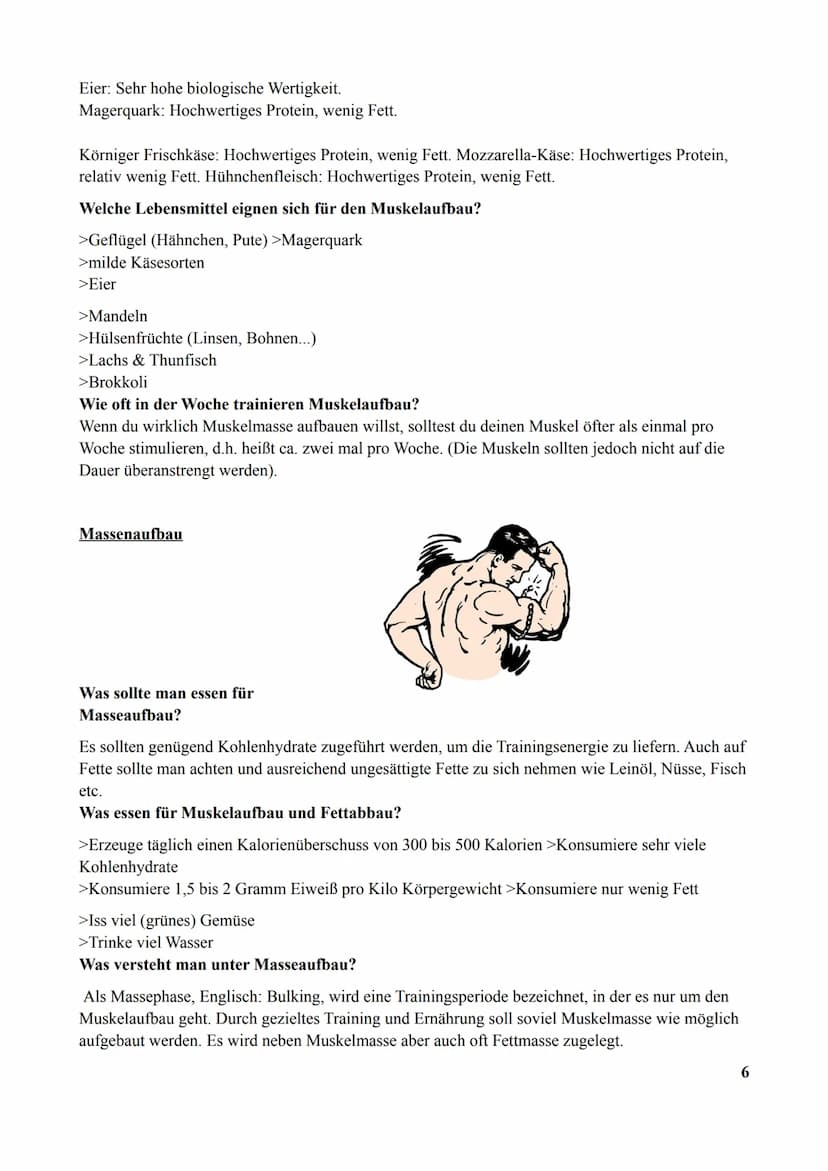 Vorgelegt von:
Kurs:
Fachlehrer:
Abgabetermin:
B6
E,F
schriftliche Arbeit
zum Thema:
gesunde Ernährung & Sport
K
B9
H
B₂
B₁2
PP
B5
on
B₁5 In