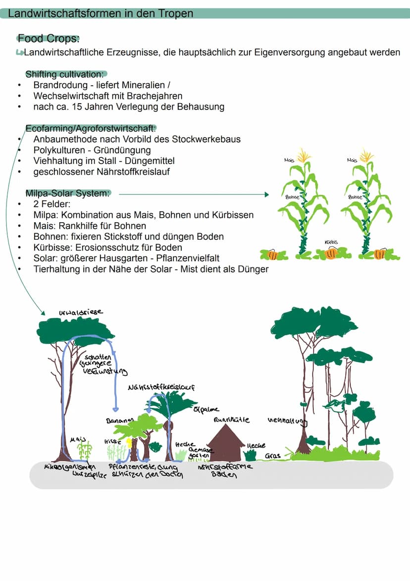 Landwirtschaft
Übersicht:
●
Landwirtschaftsformen in den Tropen
Landwirtschaftsformen
Maßnahmen zur Produktionssteigerung
Strukturwandel in 