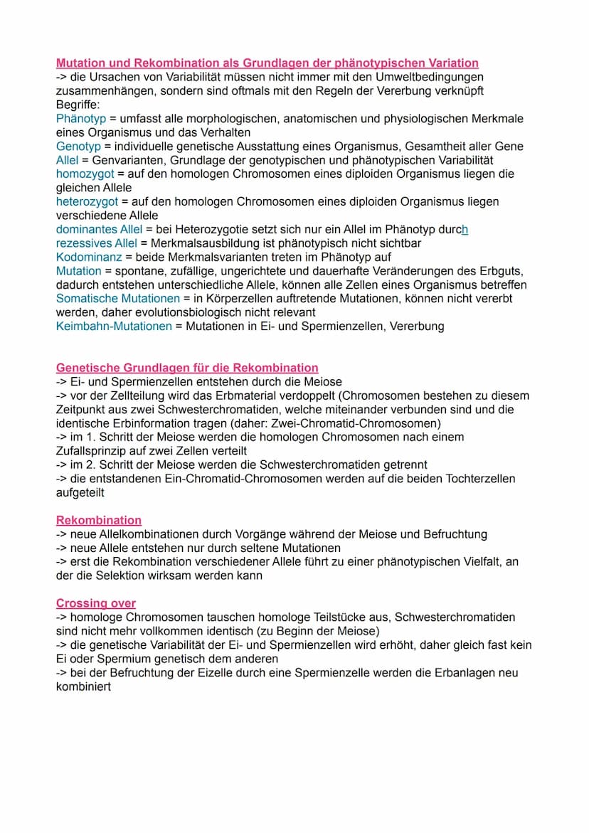 Was ist Evolution?
-> die von Generation zu Generation stattfindende allmähliche Veränderung der
vererbbaren Merkmale einer Population von L