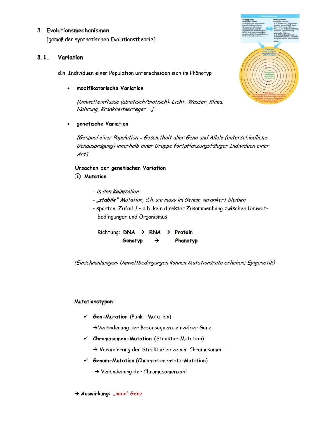 3. Evolutionsmechanismen
[gemäß der synthetischen Evolutionstheorie]
3.1. Variation
d.h. Individuen einer Population unterscheiden sich im P