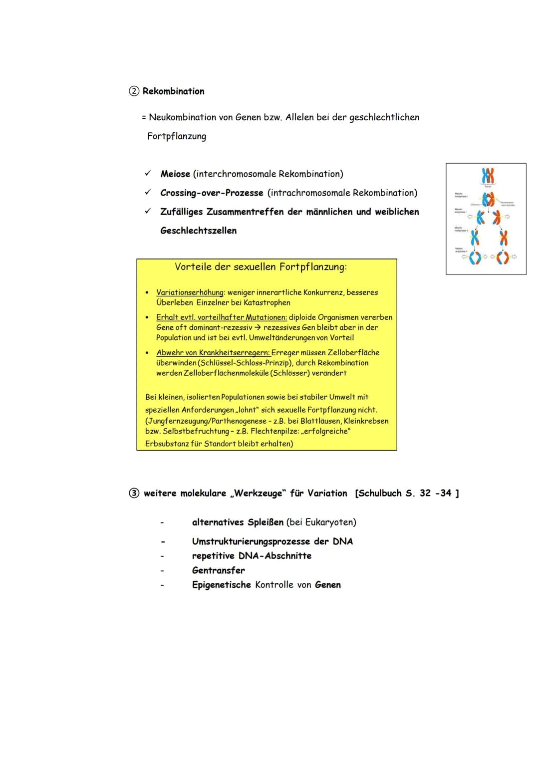 3. Evolutionsmechanismen
[gemäß der synthetischen Evolutionstheorie]
3.1. Variation
d.h. Individuen einer Population unterscheiden sich im P