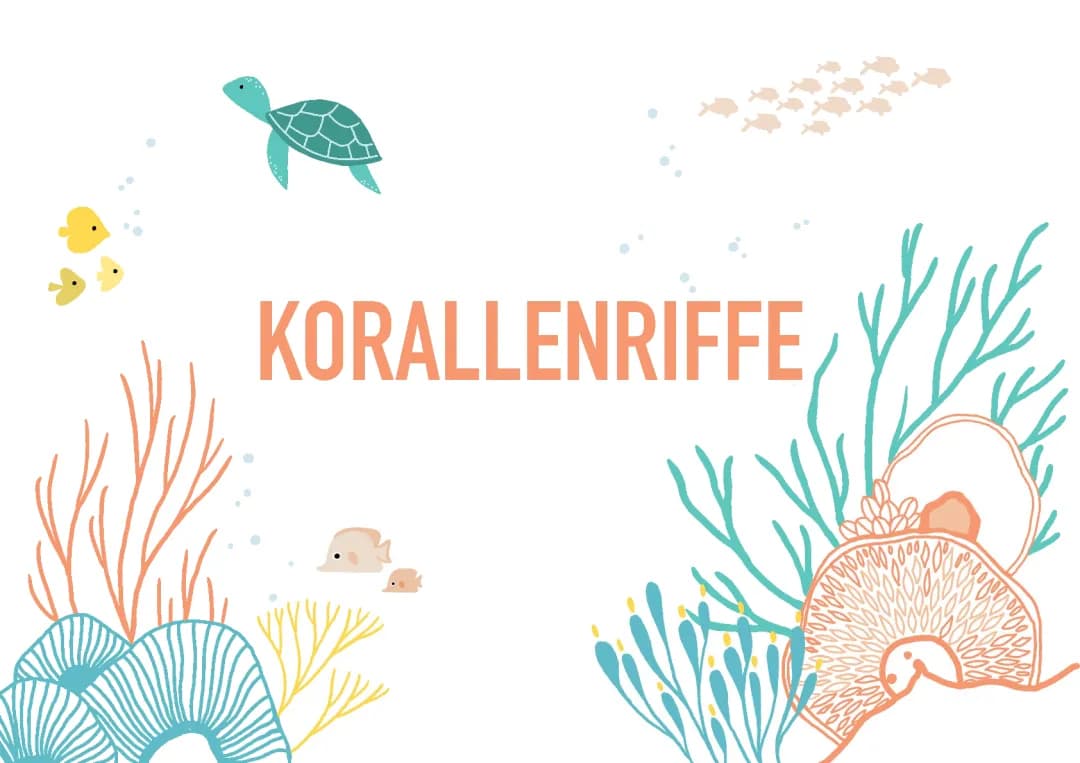 Korallenriffe 
