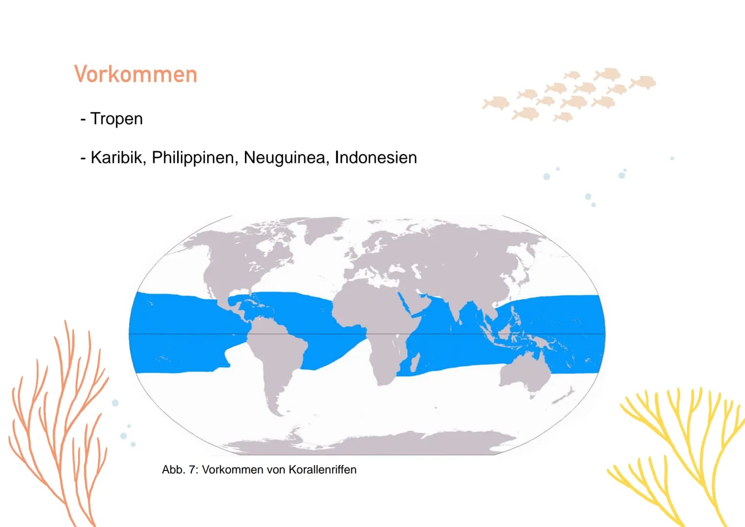 KORALLENRIFFE Was ist ein Riff?
= lange, schmale Erhebung auf dem Gewässerboden
tropisches Korallenriff
- viele Korallen
- Wassertemperatur 