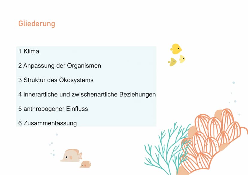 KORALLENRIFFE Was ist ein Riff?
= lange, schmale Erhebung auf dem Gewässerboden
tropisches Korallenriff
- viele Korallen
- Wassertemperatur 