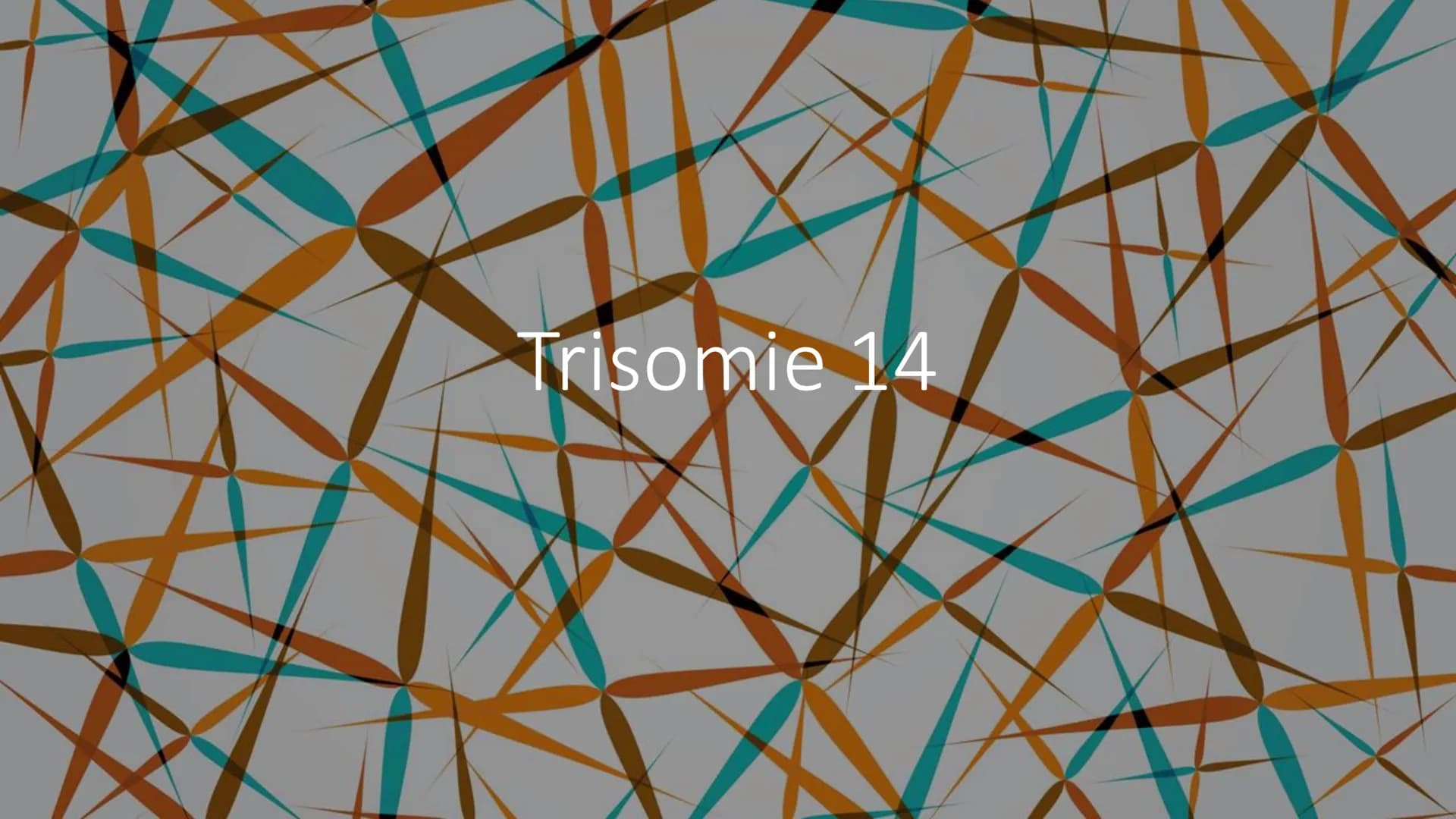 Trisomie 14 Struktur
Was ist Trisomie 14?
Häufigkeit
Formen
Symptome
Diagnose
Therapie
RE
CA
ZWZZ
TTTMAX 14
●
Was ist Trisomie 14?
Genmutati
