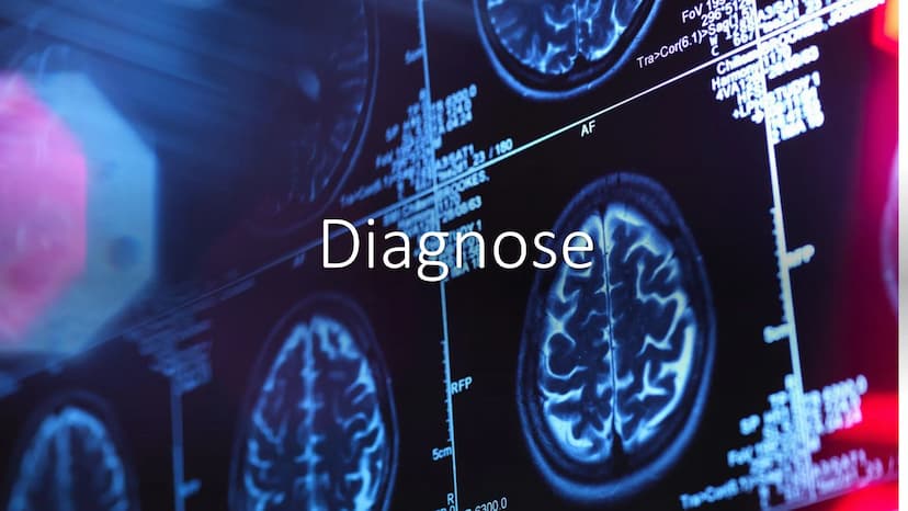 Trisomie 14 Struktur
Was ist Trisomie 14?
Häufigkeit
Formen
Symptome
Diagnose
Therapie
RE
CA
ZWZZ
TTTMAX 14
●
Was ist Trisomie 14?
Genmutati