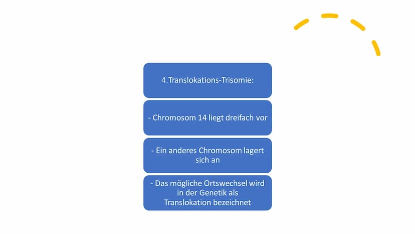 Trisomie 14 Struktur
Was ist Trisomie 14?
Häufigkeit
Formen
Symptome
Diagnose
Therapie
RE
CA
ZWZZ
TTTMAX 14
●
Was ist Trisomie 14?
Genmutati