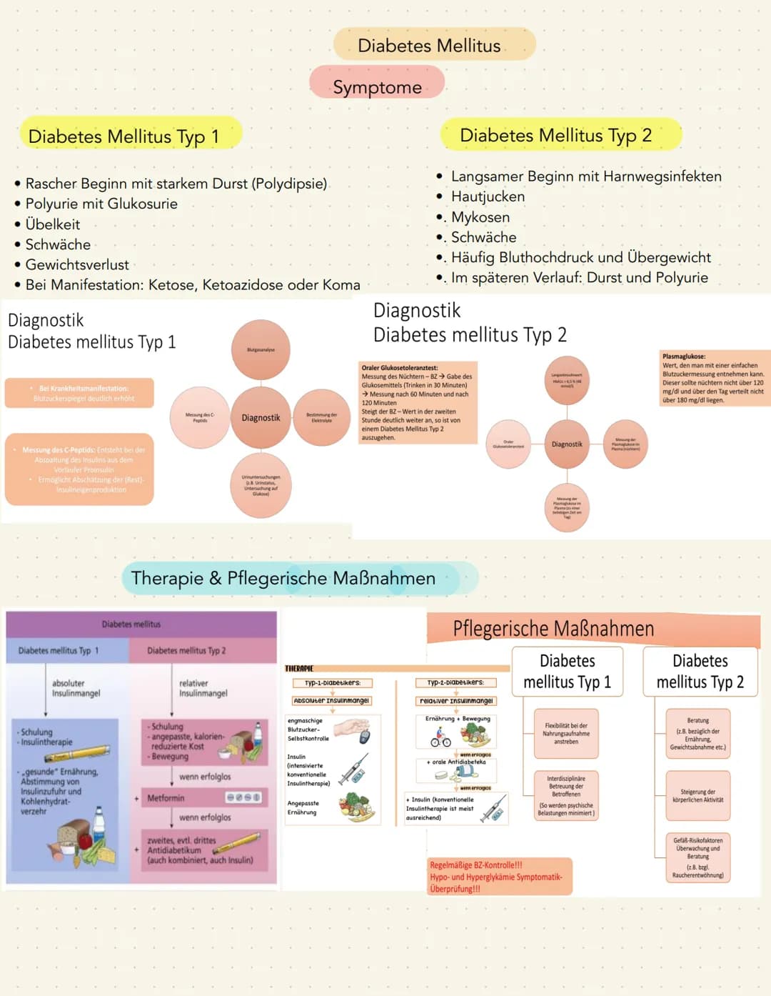 Definition:
Allgemeine Definition:
• Diabetes Mellitus = Zuckerkrankheit
• Chronische Erhöhung des Blutzuckerspiegels
• Gestörte Insulinsekr