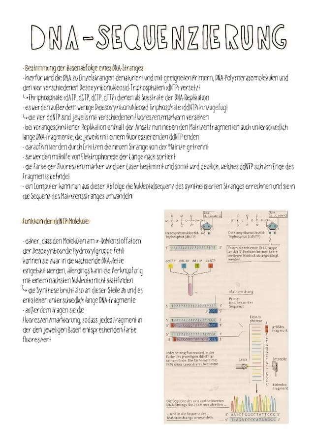 Know DNA-Sequenzierung thumbnail