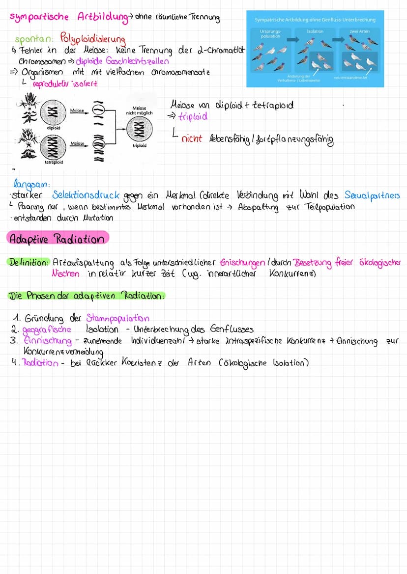 Biologie Klausur lernæettel - Q2. 1 - Evolution
Evolutionstheorien lamarck und Darwin:
→ Lamarck: Theone von der Veränderlichkeit der Arten

