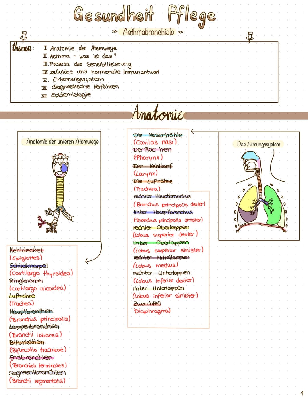 $
themen: I Anatomie der Atemwege
II. Asthma
was ist das?
III. Prozess der Sensibilisierung
I zelluläre und hormonelle Immunantwort
I. Erken