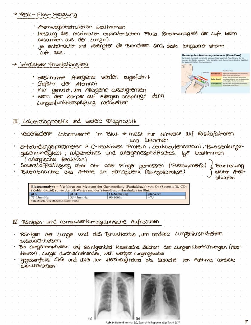 $
themen: I Anatomie der Atemwege
II. Asthma
was ist das?
III. Prozess der Sensibilisierung
I zelluläre und hormonelle Immunantwort
I. Erken