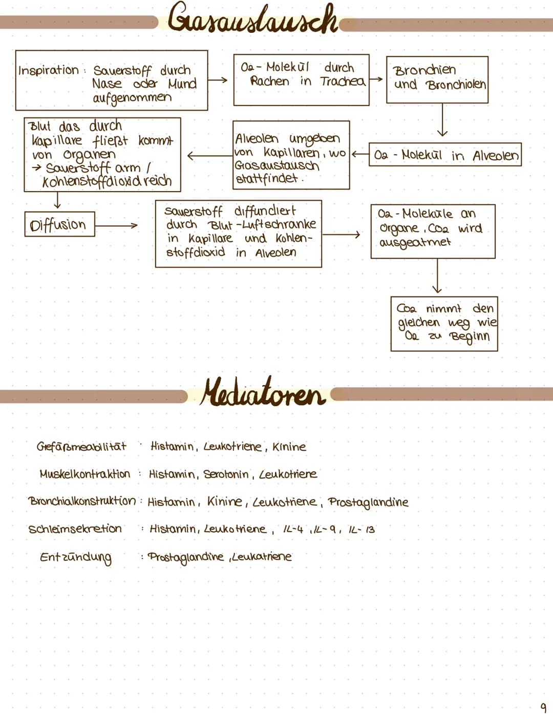 $
themen: I Anatomie der Atemwege
II. Asthma
was ist das?
III. Prozess der Sensibilisierung
I zelluläre und hormonelle Immunantwort
I. Erken