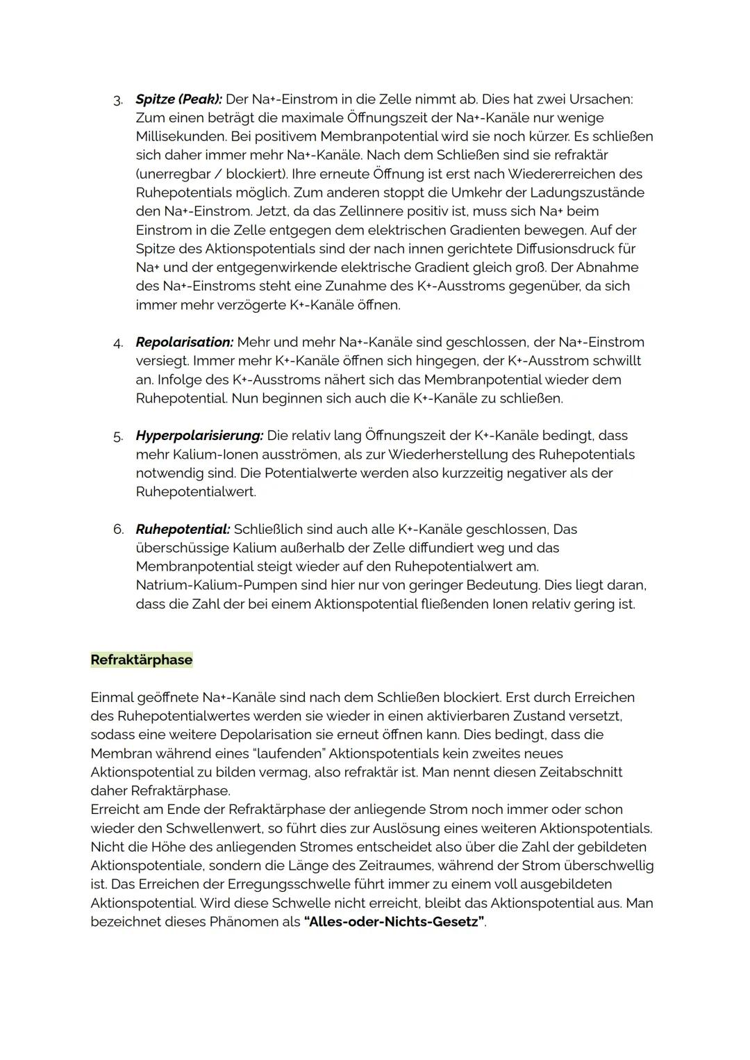 AKTIONSPOTENTIAL
Das Aktionspotential ist eine vorübergehende Abweichung des Membranpotentials einer
Nervenzelle vom Ruhepotential. Es ist a