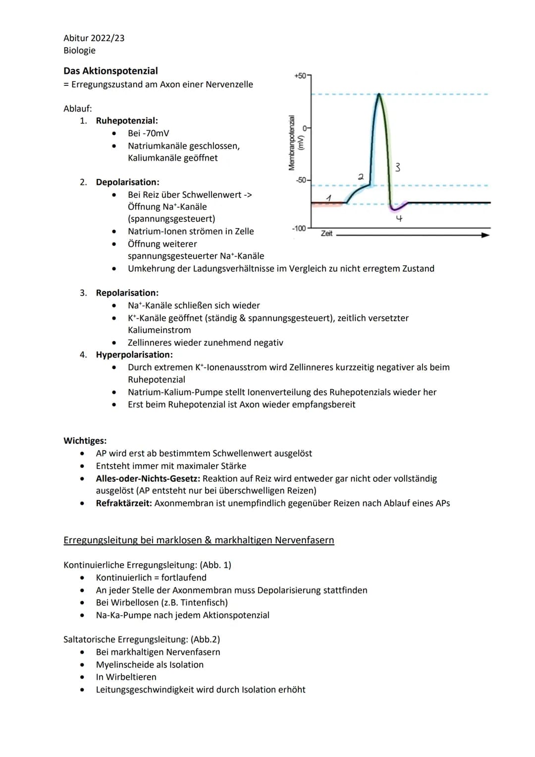 Abitur 2022/23
Biologie
LPE 4 Steuerungs- und Regelungsvorgänge
1. Nervenphysiologie
a. Bau von Sinnes- und Nervenzellen
b. Ruhe- und Aktion