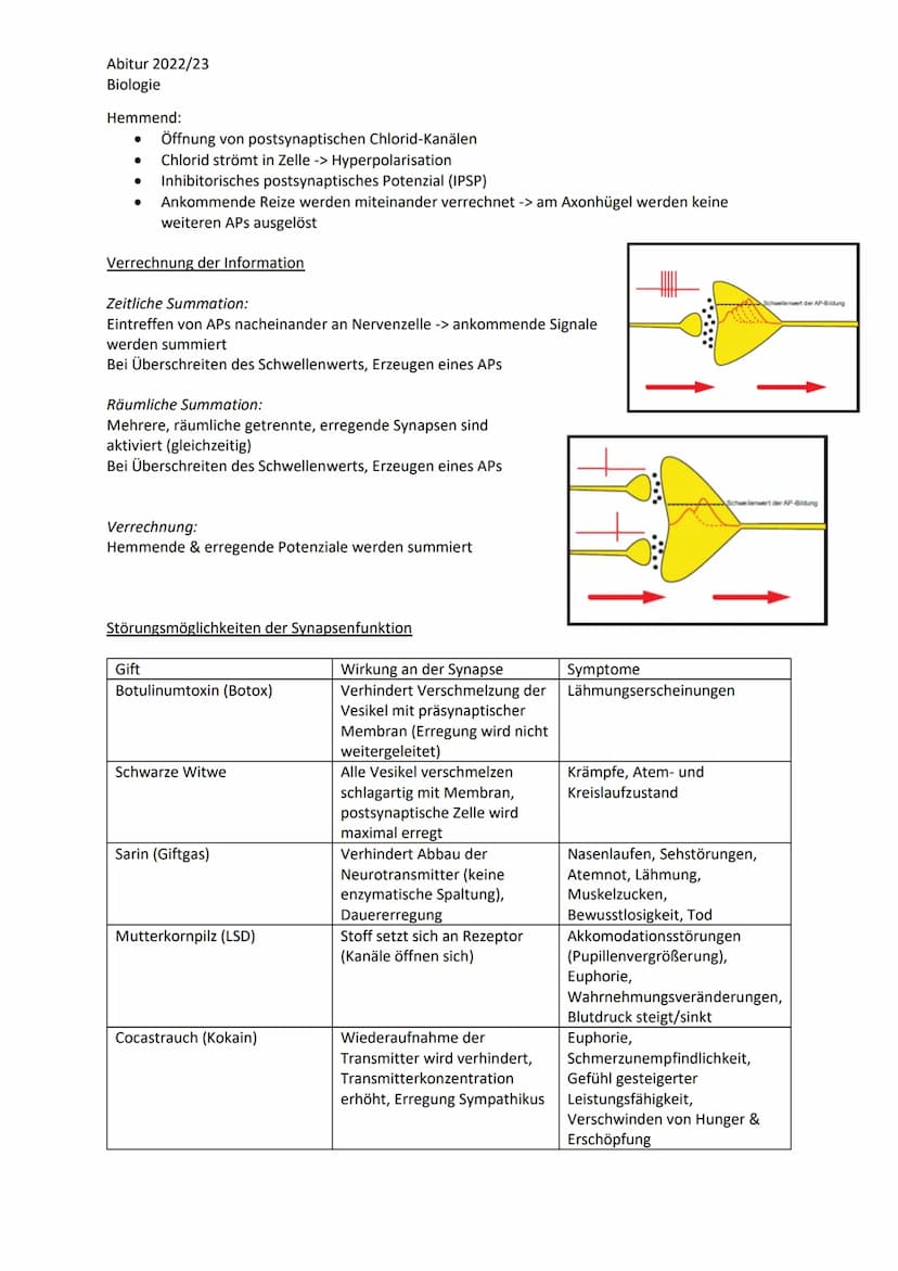 Abitur 2022/23
Biologie
LPE 4 Steuerungs- und Regelungsvorgänge
1. Nervenphysiologie
a. Bau von Sinnes- und Nervenzellen
b. Ruhe- und Aktion