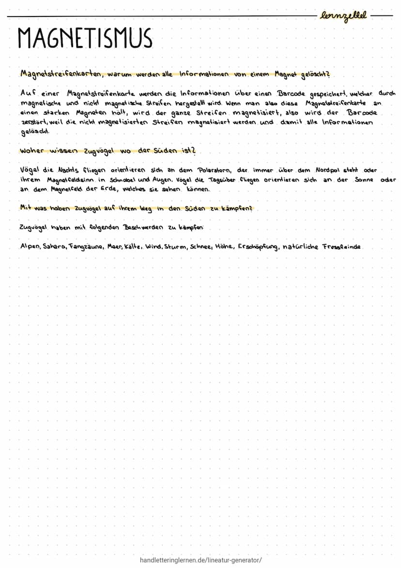 MAGNETISMUS
Welche Materialien sind magnetisch?
Eisen, Nickel, kobalt und Gemische aus diesen sind magnetisch.
Verschiedene Magnete:
Die End