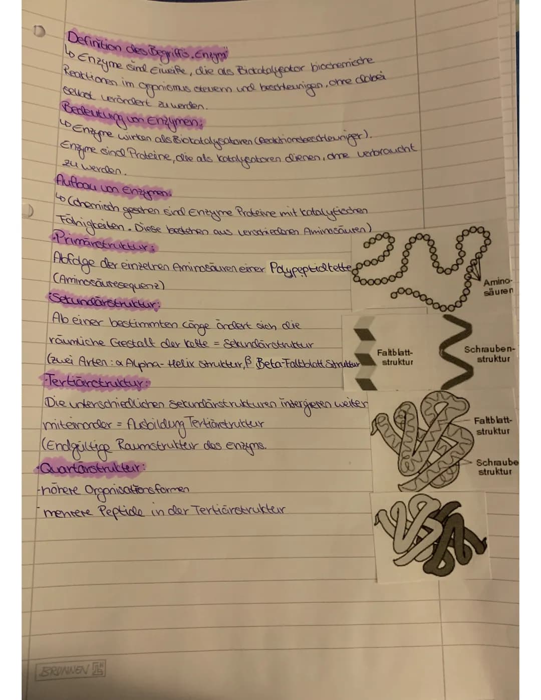 Definition des Begriffs, Enigma²
Lo Enzyme sind Eiweiße, die als Biokatalysator biochemische
Reaktionen im
Selbet verändert zu werden.
organ
