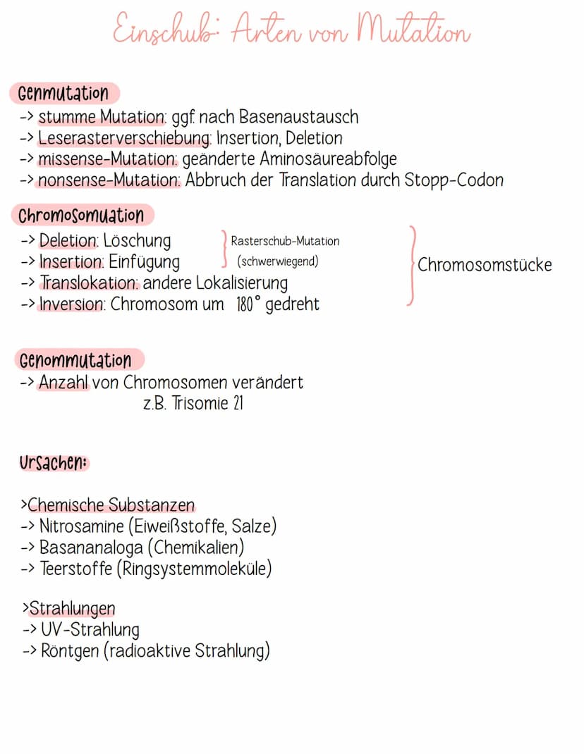 Definition:
Evolution ist eine
über Generationen
hinweg ablaufende
Veränderung der
erblichen Merkmale
von Populationen
Evolution
Grundbegrif