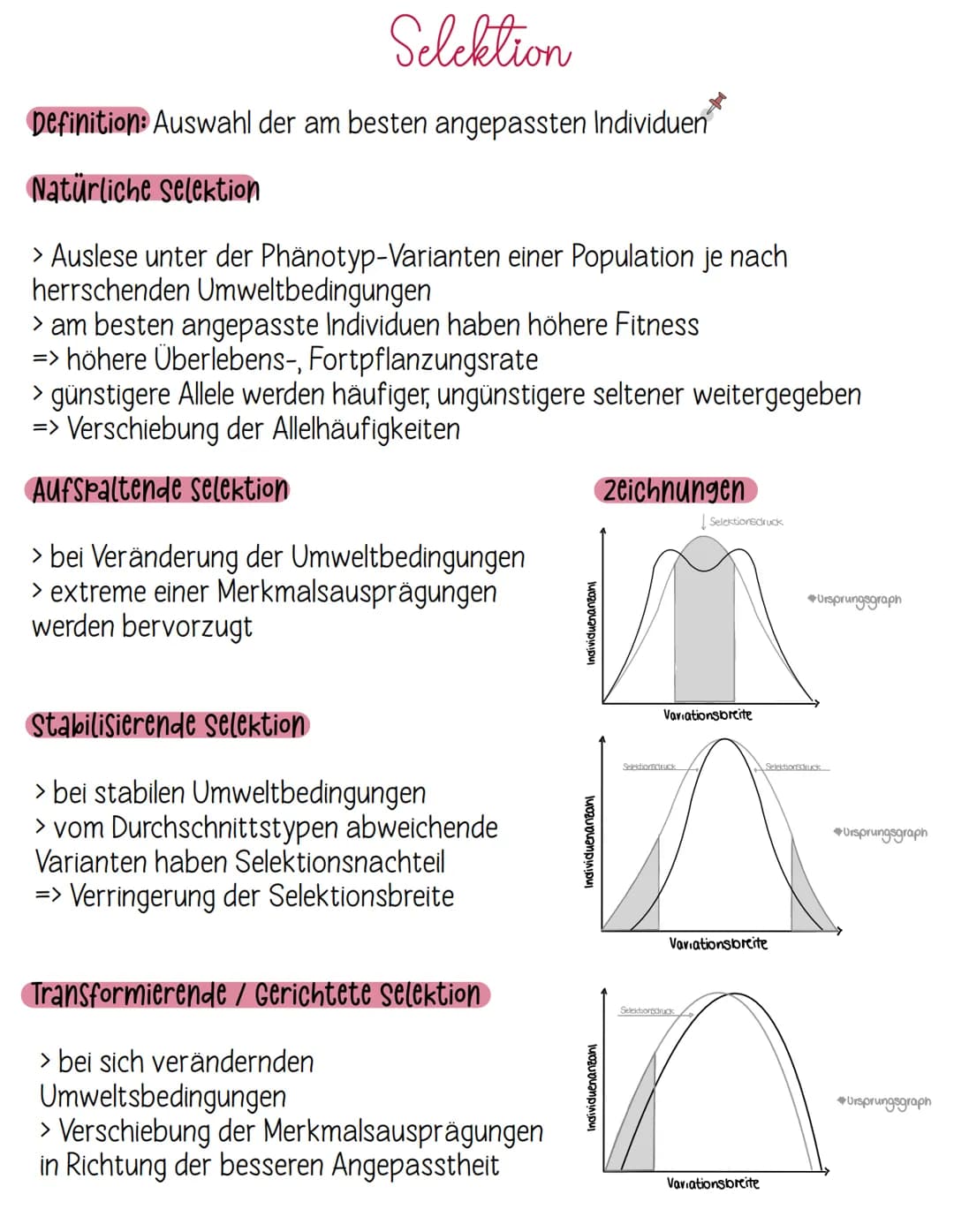 Definition:
Evolution ist eine
über Generationen
hinweg ablaufende
Veränderung der
erblichen Merkmale
von Populationen
Evolution
Grundbegrif