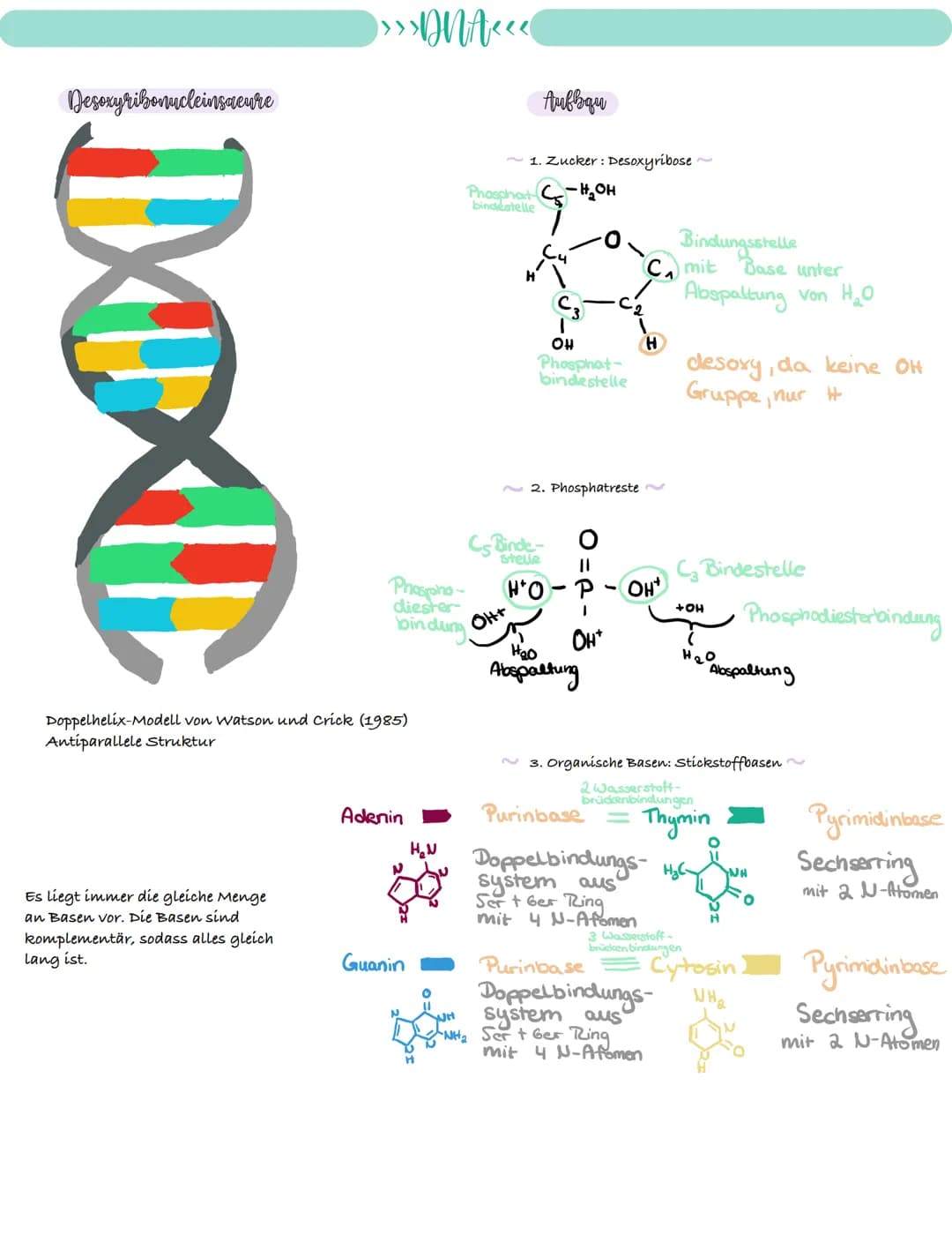 
<p>If you need a comprehensive summary of genetics in biology, you can download a helpful PDF document on "genetik biologie klasse 10 zusam