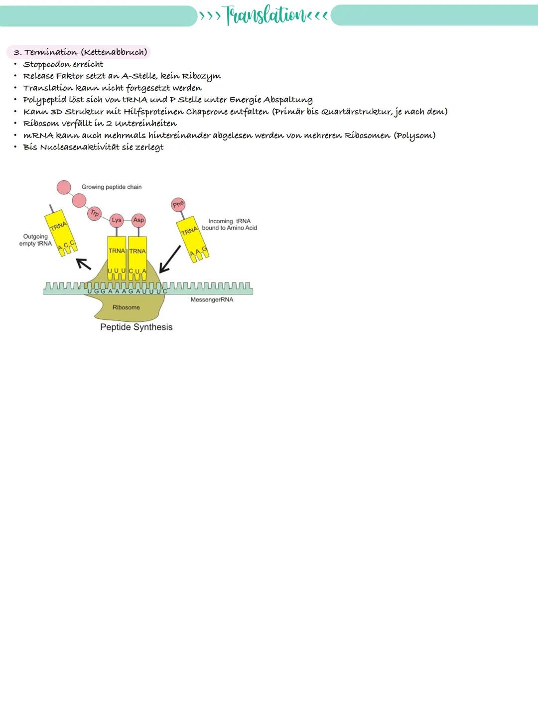 
<p>If you need a comprehensive summary of genetics in biology, you can download a helpful PDF document on "genetik biologie klasse 10 zusam