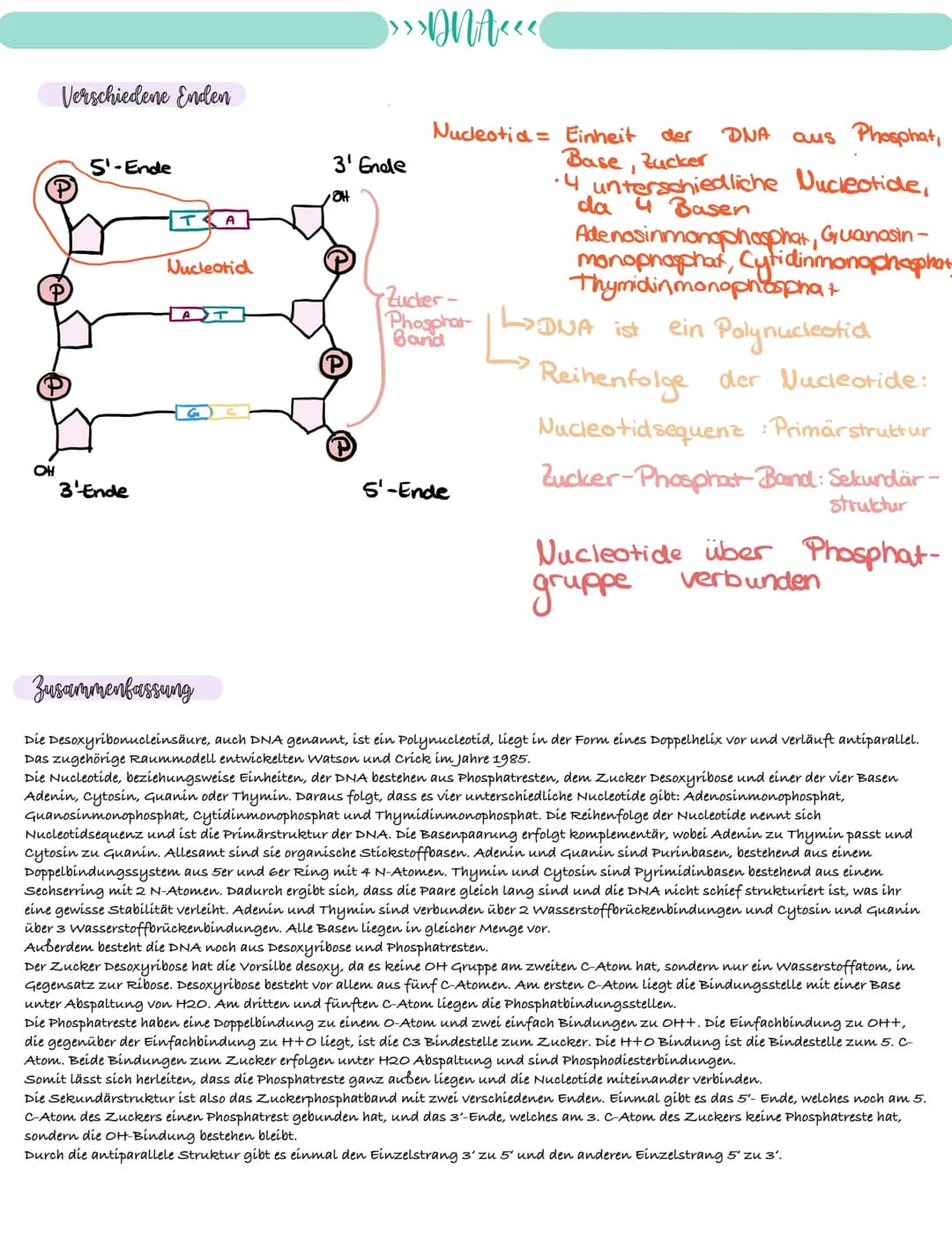 
<p>If you need a comprehensive summary of genetics in biology, you can download a helpful PDF document on "genetik biologie klasse 10 zusam