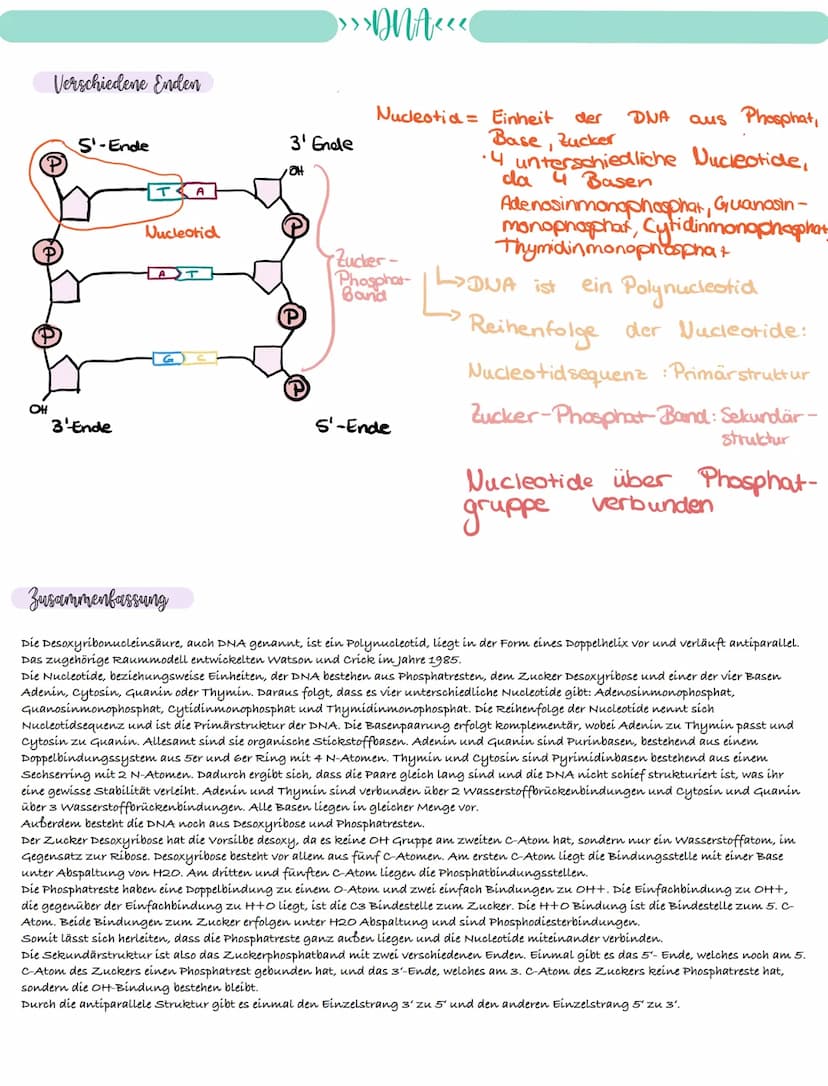 
<p>If you need a comprehensive summary of genetics in biology, you can download a helpful PDF document on "genetik biologie klasse 10 zusam