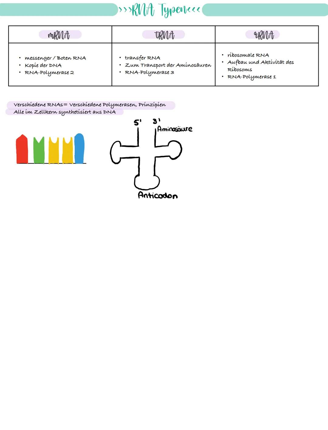 
<p>If you need a comprehensive summary of genetics in biology, you can download a helpful PDF document on "genetik biologie klasse 10 zusam