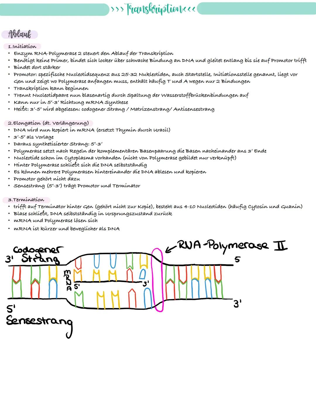 
<p>If you need a comprehensive summary of genetics in biology, you can download a helpful PDF document on "genetik biologie klasse 10 zusam