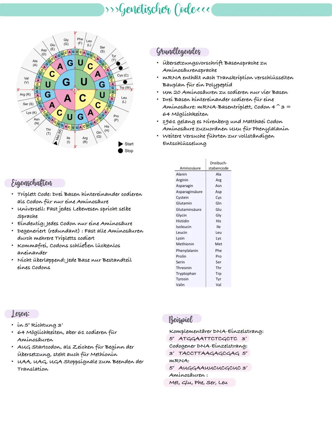 
<p>If you need a comprehensive summary of genetics in biology, you can download a helpful PDF document on "genetik biologie klasse 10 zusam