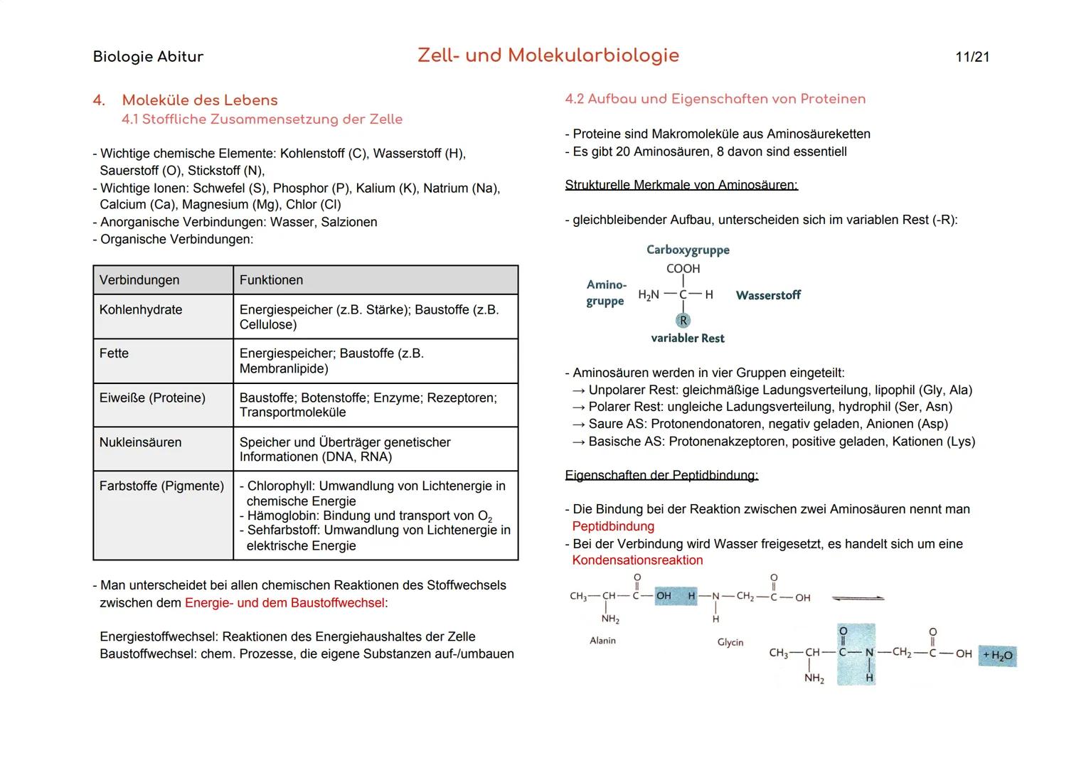 Biologie Abitur
Organisationsebenen
Atom
Makromolekül
Organell
Zelle
Gewebe
Organ
Organsystem
Organismus
Lebensgemeinschaft
Ökosystem
- Best