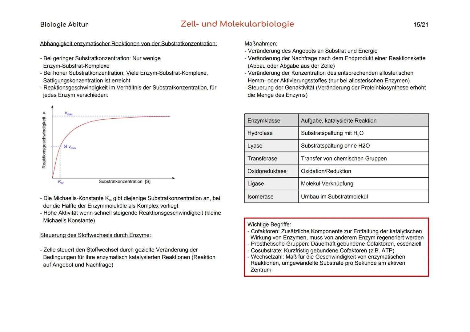 Biologie Abitur
Organisationsebenen
Atom
Makromolekül
Organell
Zelle
Gewebe
Organ
Organsystem
Organismus
Lebensgemeinschaft
Ökosystem
- Best