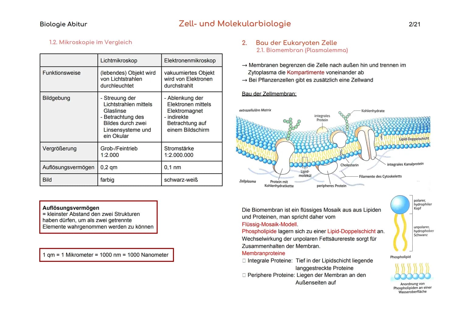 Biologie Abitur
Organisationsebenen
Atom
Makromolekül
Organell
Zelle
Gewebe
Organ
Organsystem
Organismus
Lebensgemeinschaft
Ökosystem
- Best