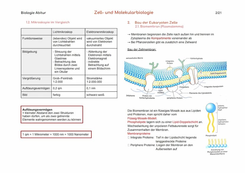 Biologie Abitur
Organisationsebenen
Atom
Makromolekül
Organell
Zelle
Gewebe
Organ
Organsystem
Organismus
Lebensgemeinschaft
Ökosystem
- Best