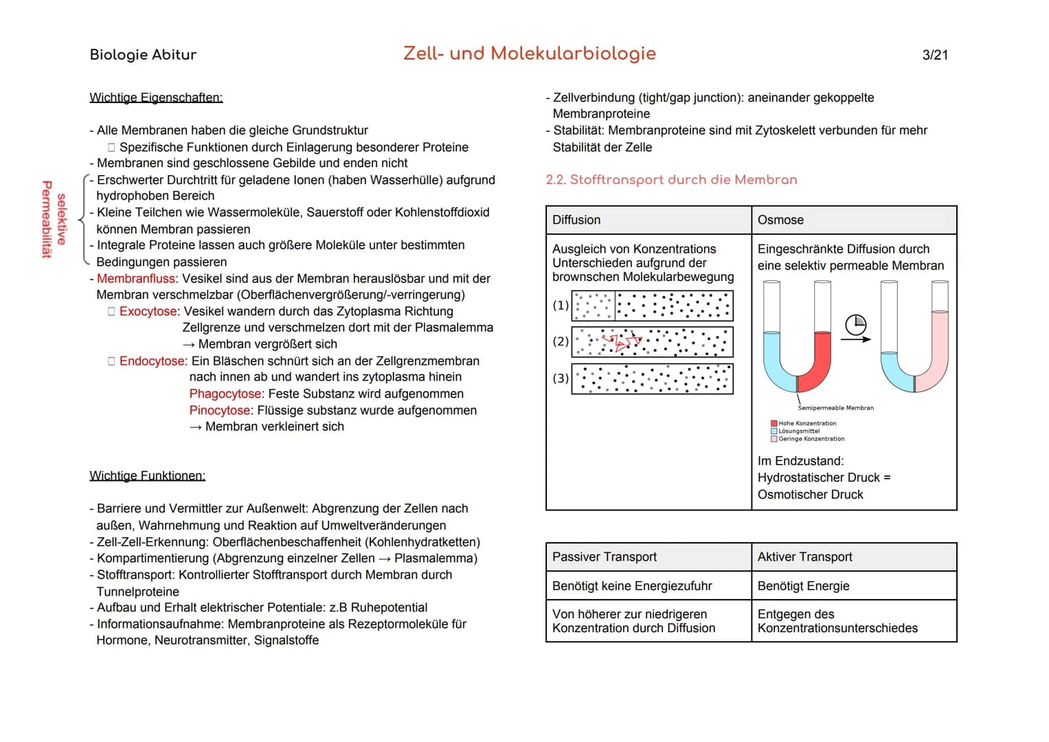 Biologie Abitur
Organisationsebenen
Atom
Makromolekül
Organell
Zelle
Gewebe
Organ
Organsystem
Organismus
Lebensgemeinschaft
Ökosystem
- Best