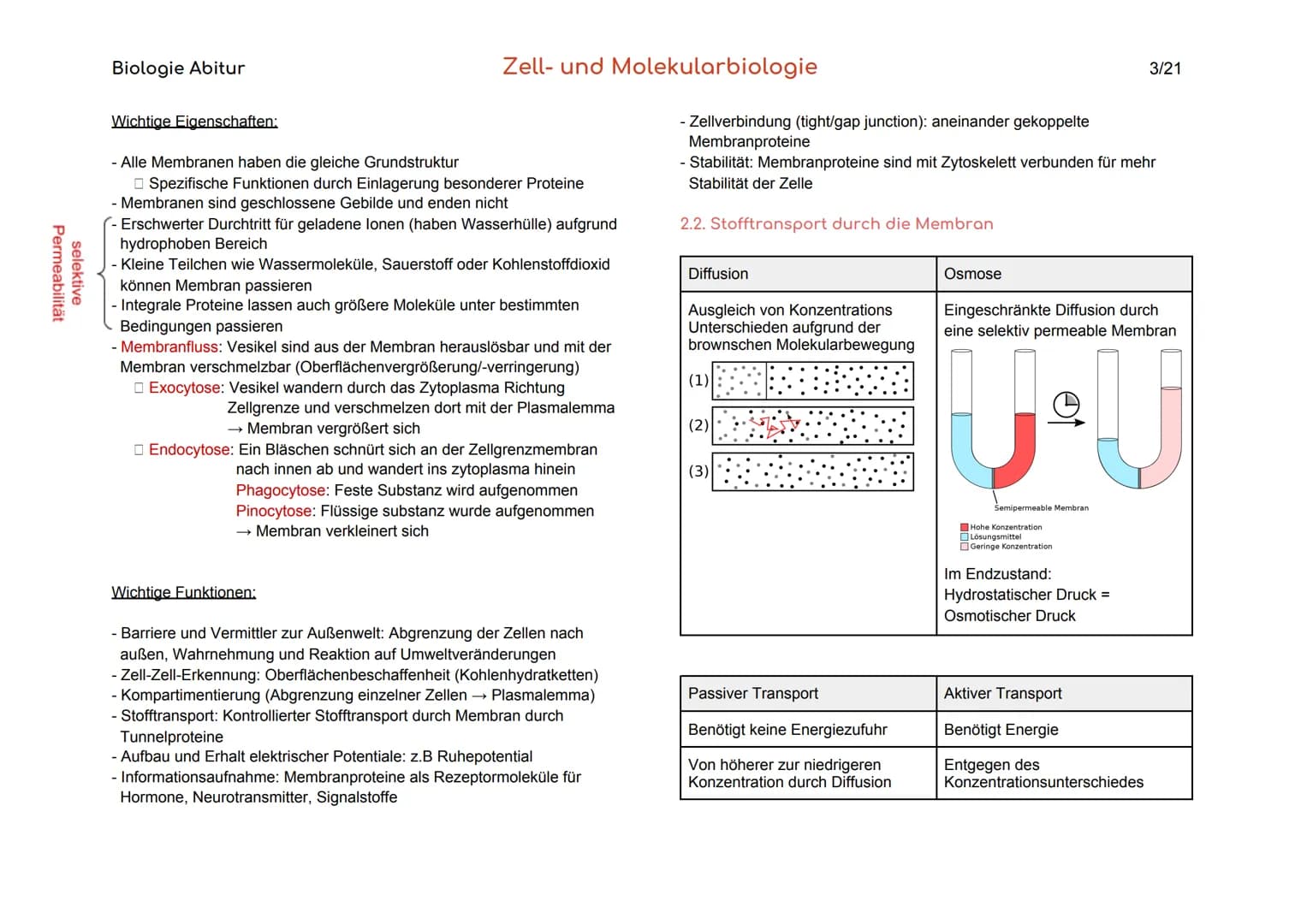 Biologie Abitur
Organisationsebenen
Atom
Makromolekül
Organell
Zelle
Gewebe
Organ
Organsystem
Organismus
Lebensgemeinschaft
Ökosystem
- Best