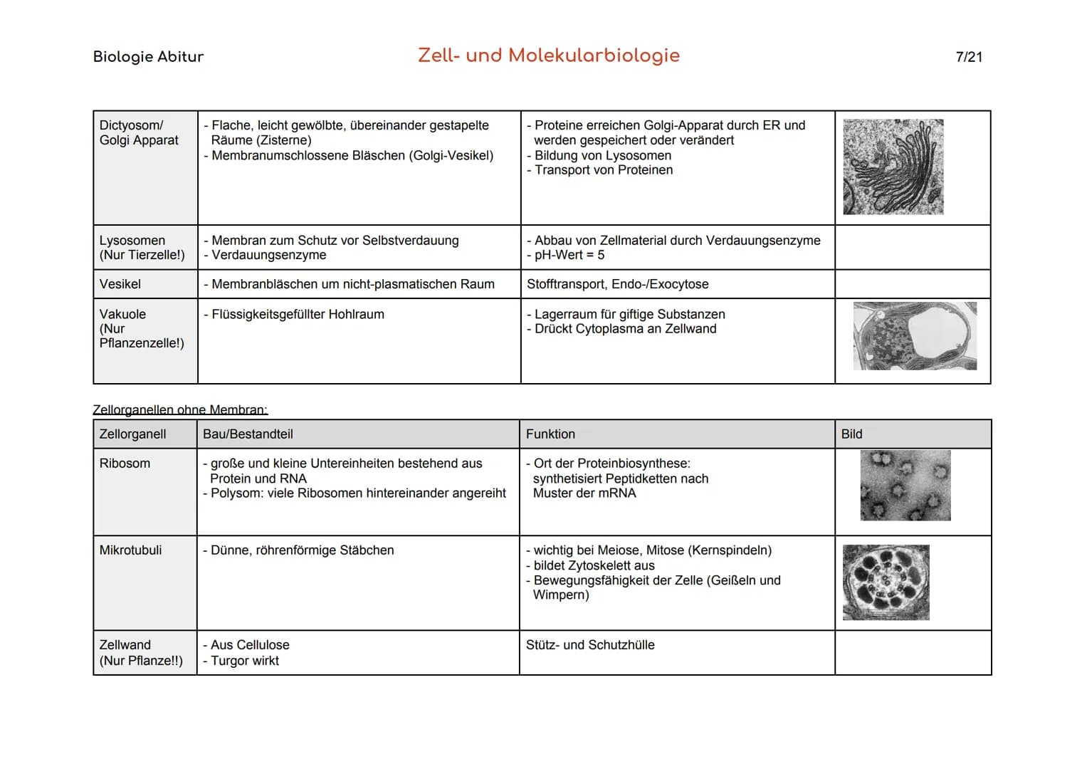 Biologie Abitur
Organisationsebenen
Atom
Makromolekül
Organell
Zelle
Gewebe
Organ
Organsystem
Organismus
Lebensgemeinschaft
Ökosystem
- Best