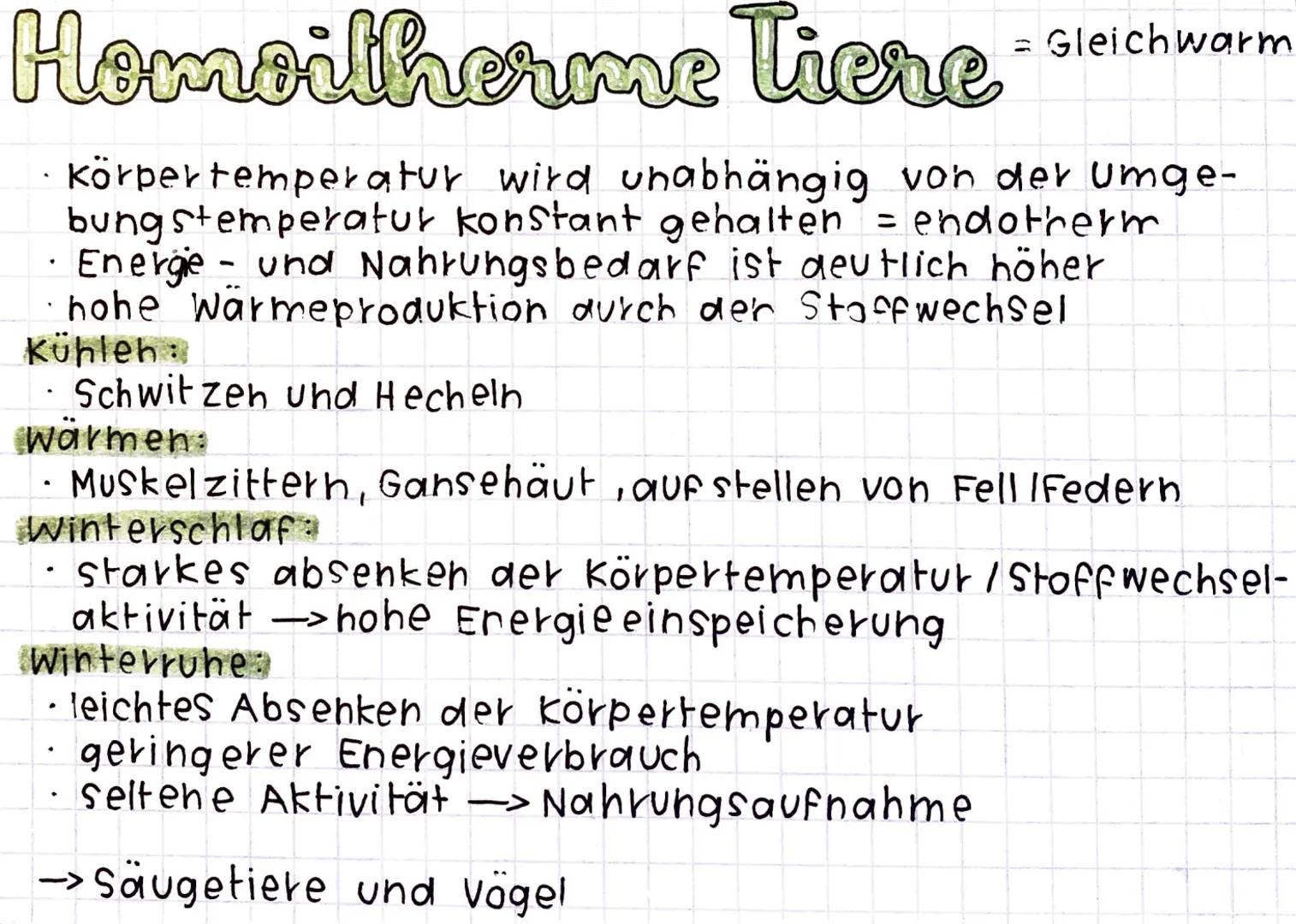 # Homoilherme Tiere = Gleich warm

- Körpertemperatur wird unabhängig von der Umge-
bungstemperatur konstant gehalten = endotherm
- Energie-