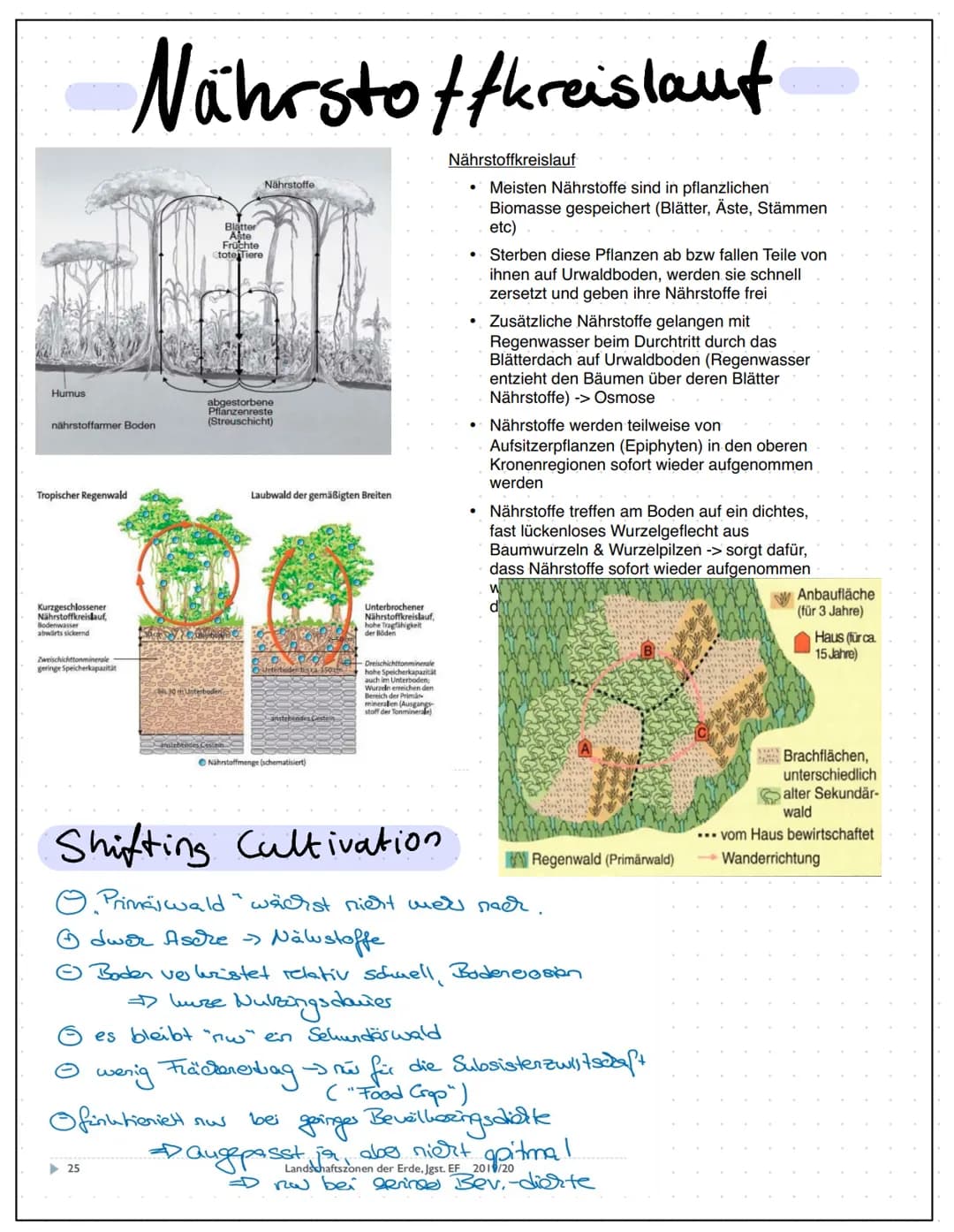 Landschaftszonen
Landschaftszonen = große, die Erde umspannende Zonen,
die Gemeinsamkeiten aufweisen hins Untlich
-Klima - Vegetation.
Böden