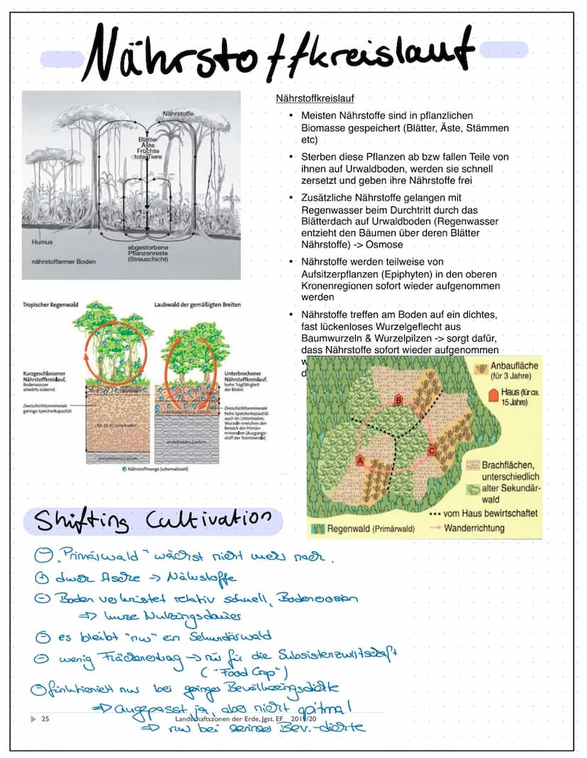 Landschaftszonen
Landschaftszonen = große, die Erde umspannende Zonen,
die Gemeinsamkeiten aufweisen hins Untlich
-Klima - Vegetation.
Böden