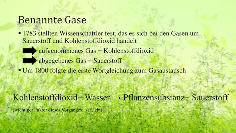 Die Geschichte der
Fotosynthese Gliederung
Erste Gedanken
Neuer Anfang
Experiment
Licht
Benannte Gase
Weitere Untersuchungen
Biochemische Sc