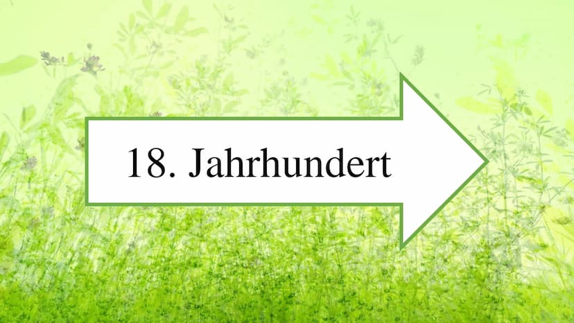 Die Geschichte der
Fotosynthese Gliederung
Erste Gedanken
Neuer Anfang
Experiment
Licht
Benannte Gase
Weitere Untersuchungen
Biochemische Sc