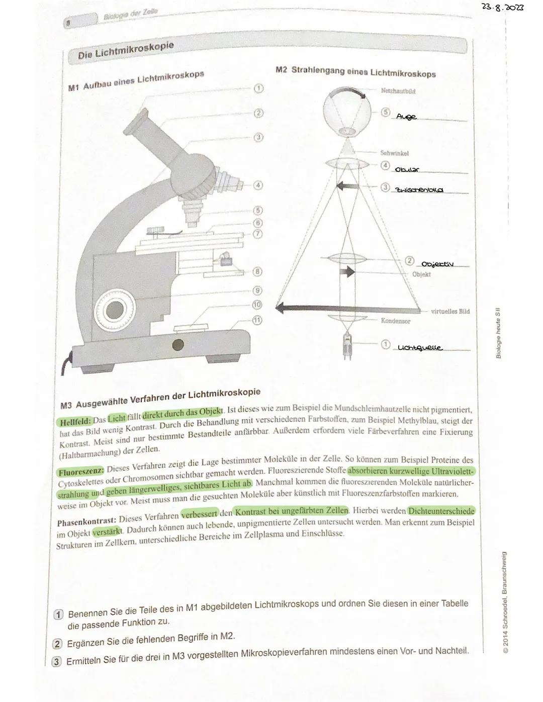 Lichtmikroskop und Elektronenmikroskop