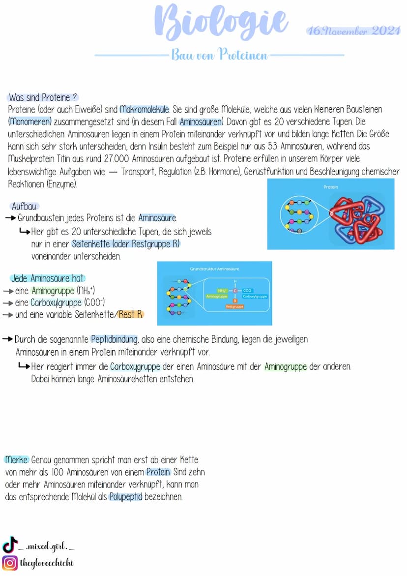 Biologie
· Bau von Enzymen
Was sind Enzyme?
Enzyme sind biologische Riesenmoleküle, wobei die meisten Enzyme Proteine (komplexe Eiweißmolekü