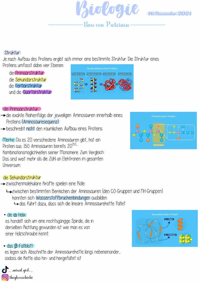 Biologie
· Bau von Enzymen
Was sind Enzyme?
Enzyme sind biologische Riesenmoleküle, wobei die meisten Enzyme Proteine (komplexe Eiweißmolekü